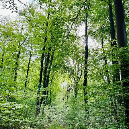 Privatunterkunft Kornspeicher Himmelpfort