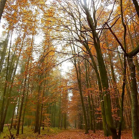 Privatunterkunft Kornspeicher
