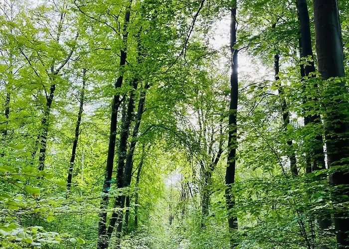 Quarto em Acomodações Particulares Kornspeicher Himmelpfort