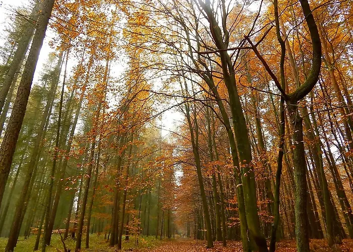Quarto em Acomodações Particulares Kornspeicher